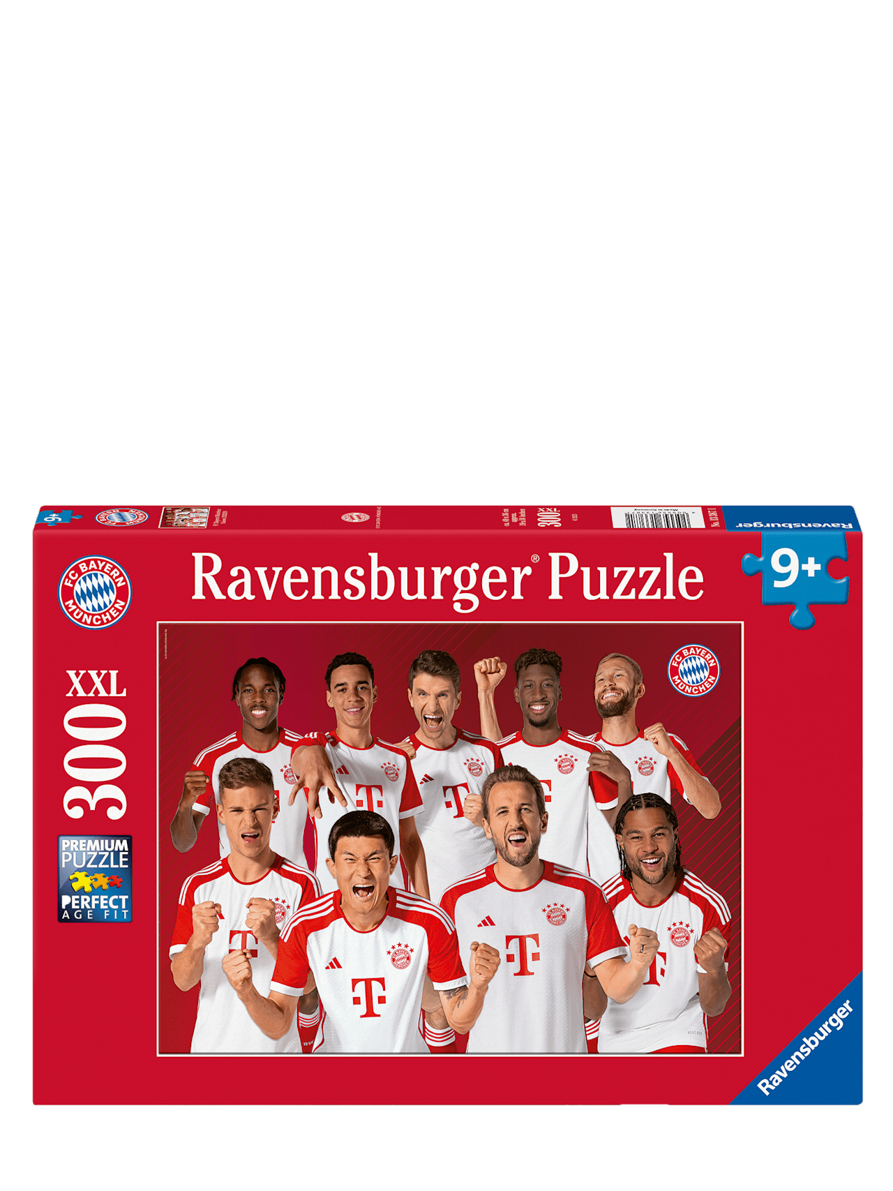 Puzzle Team 2023-24 300 Teile detail 1