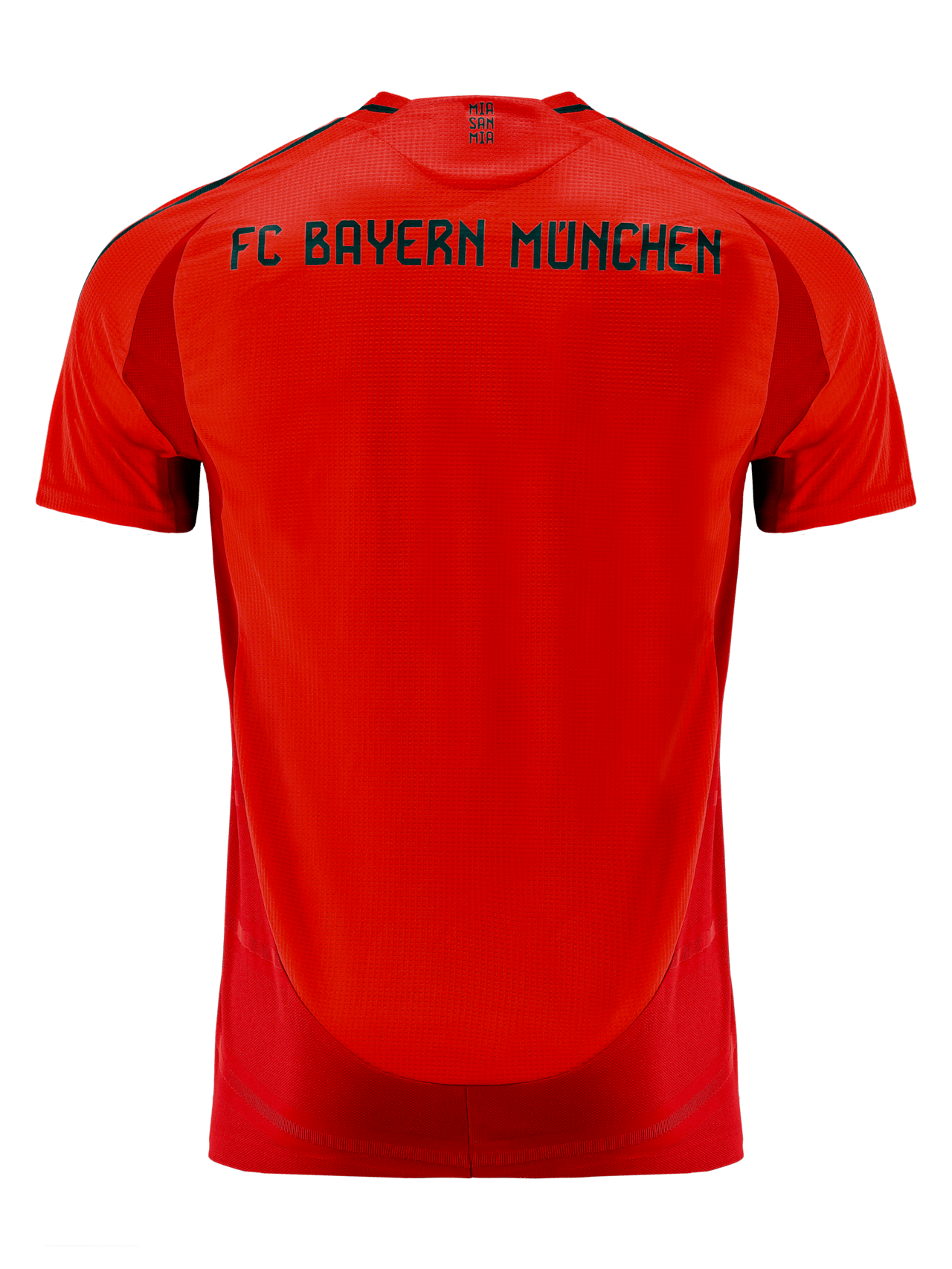 Authentic Jersey Home 24-25 detail 9