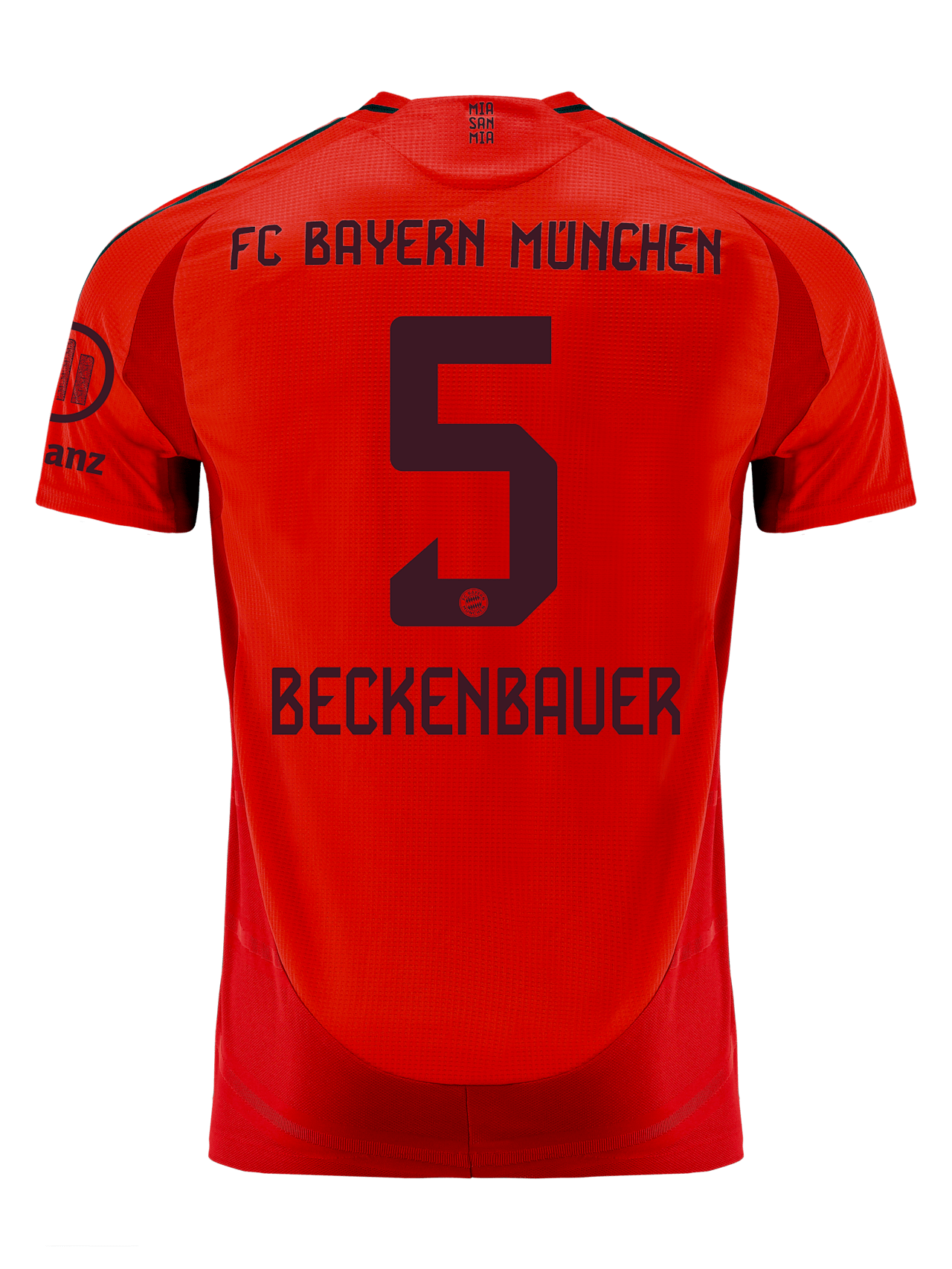 Authentic Jersey Home 24-25 detail 2