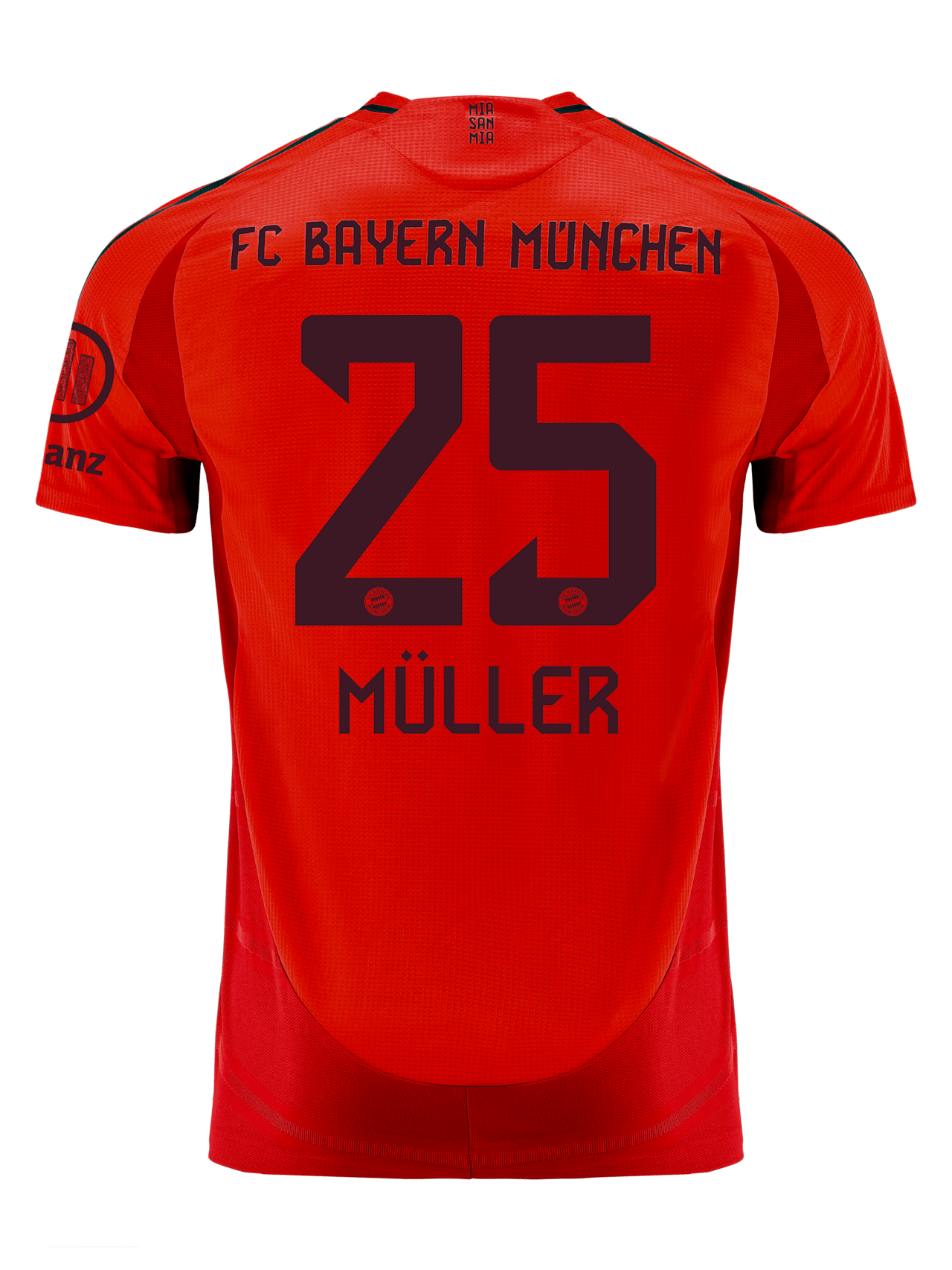 Authentic Trikot Home 24-25 detail 2