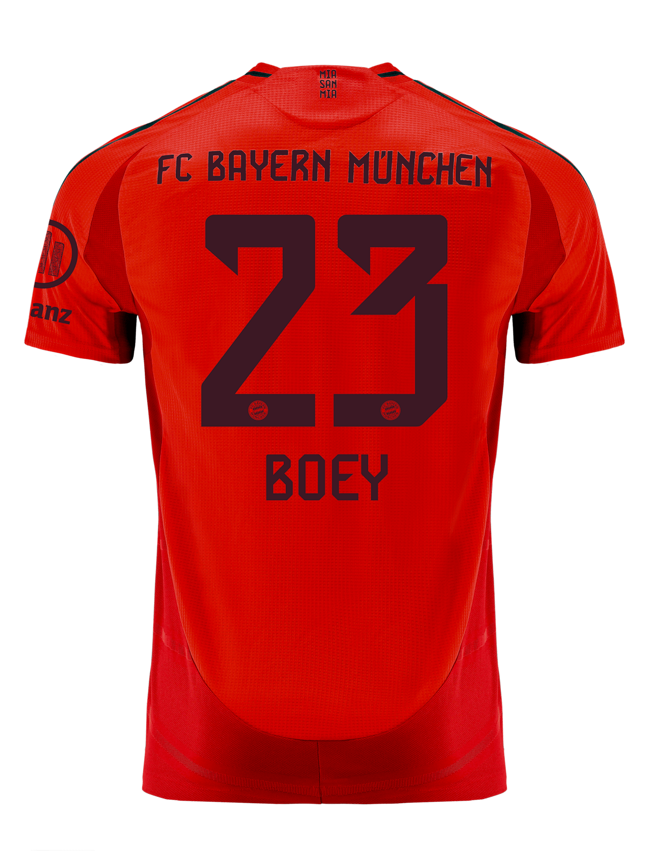 Sacha Boey Herren Authentic Trikot Home 24-25 1
