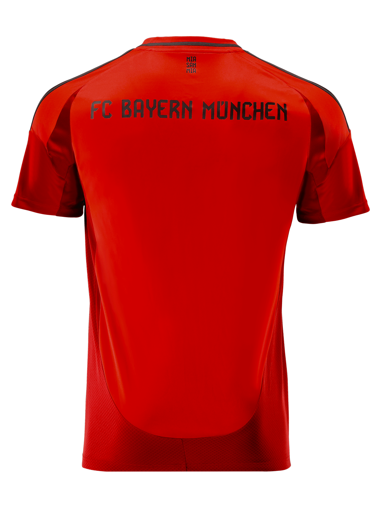 Jersey Home 24-25 detail 8