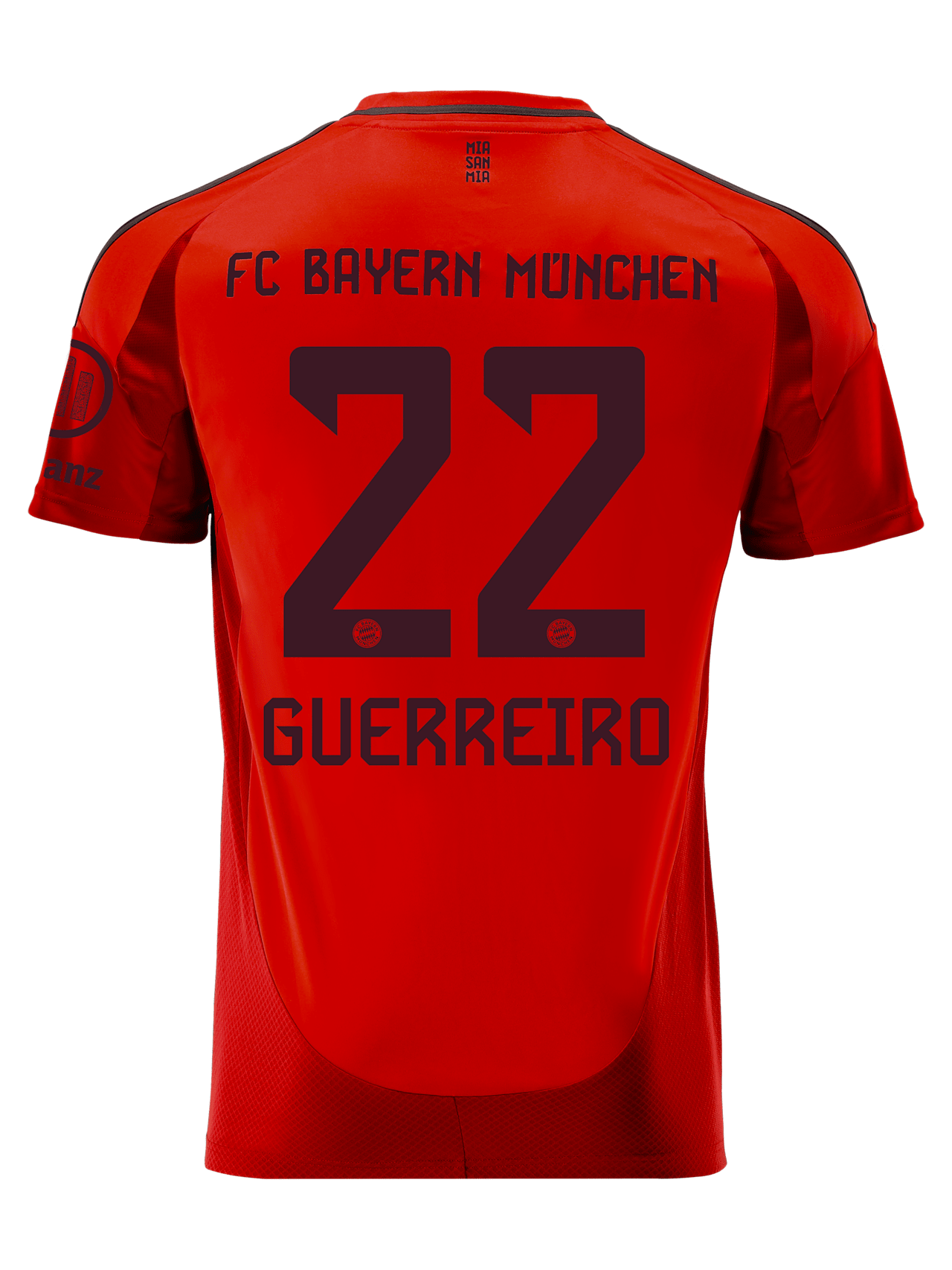 Raphaël Guerreiro Men Jersey Home 24-25 1