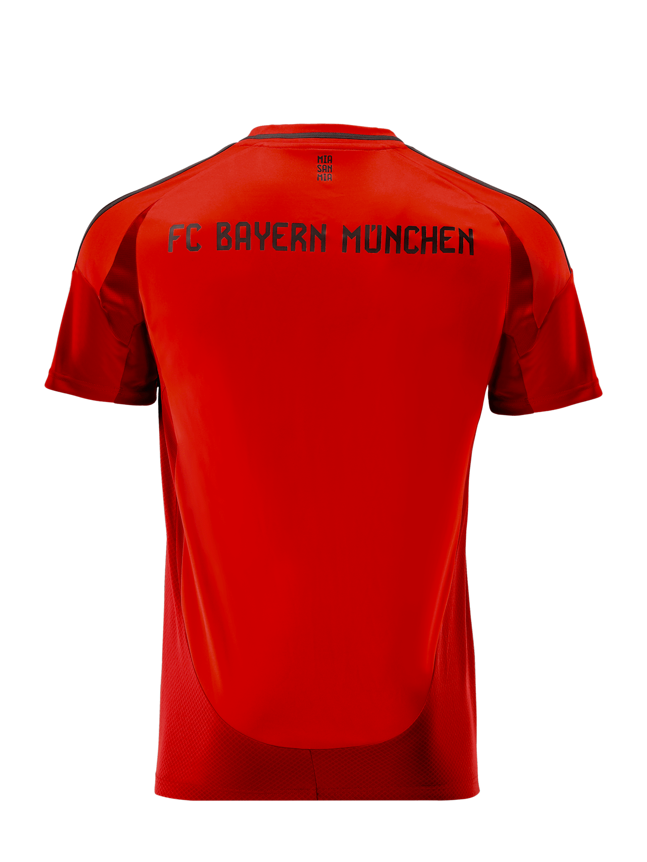 Jersey Home 24-25 detail 5