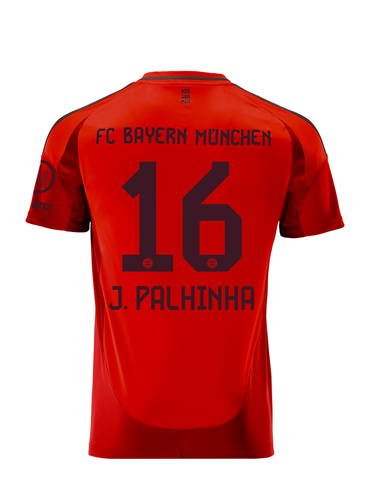 Jersey Home 24-25 detail 2