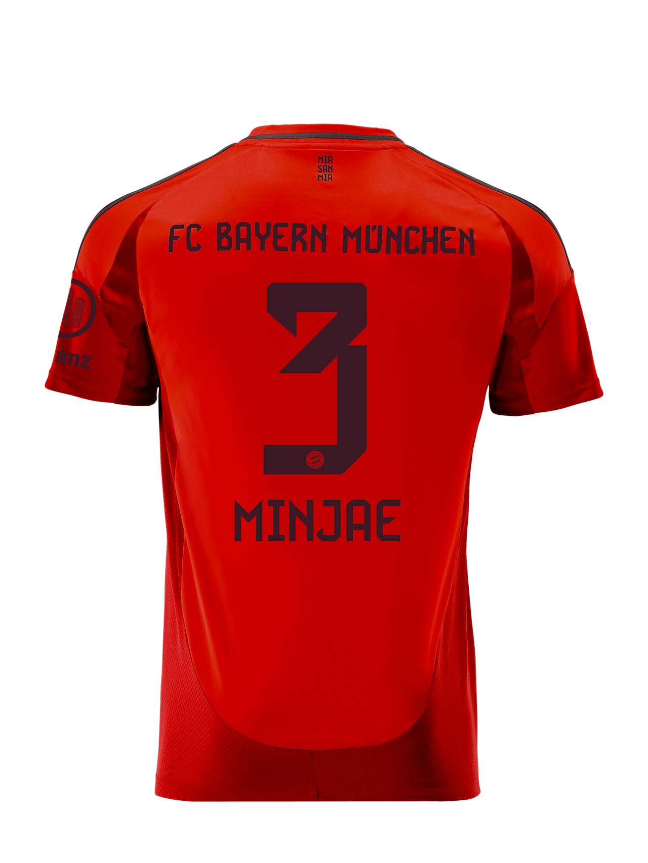 Trikot Home 24-25 detail 2
