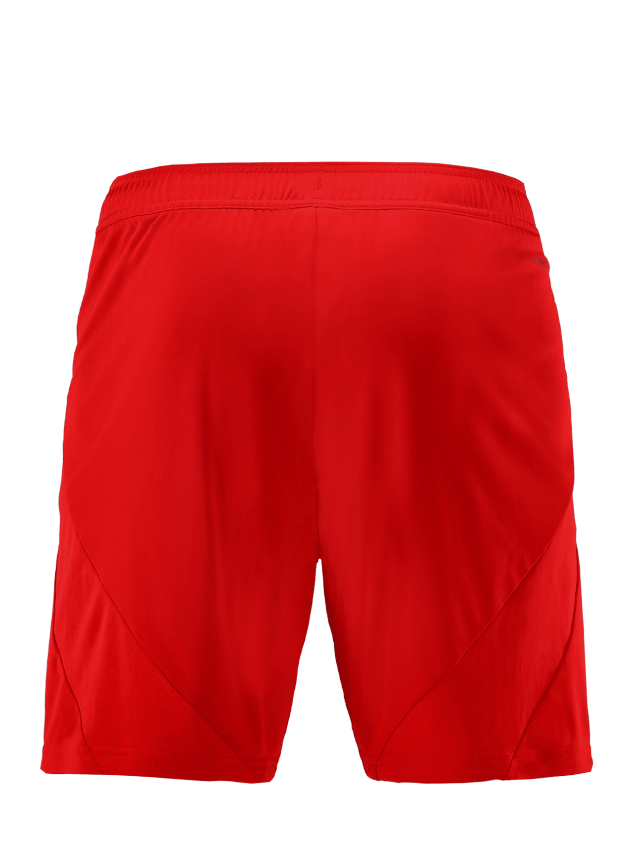 Shorts Home 24-25 detail 7