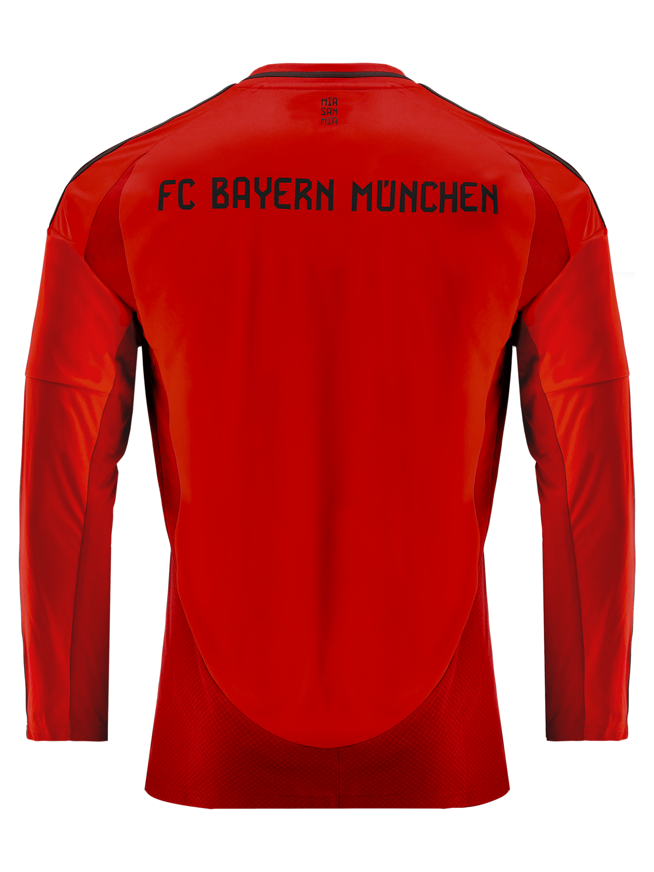 Maillot Manches Longues Domicile 24-25 detail 7