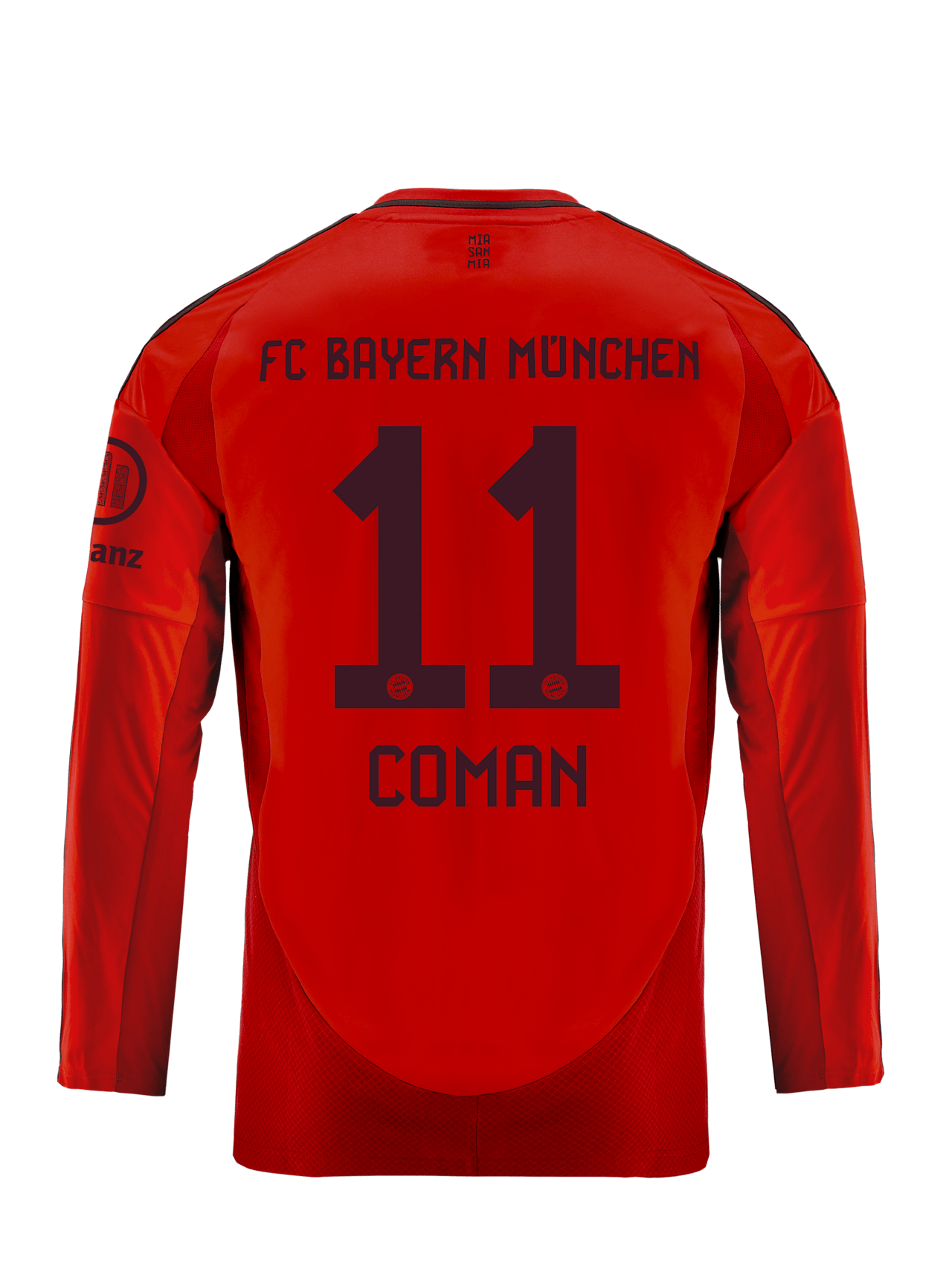 Long Sleeve Jersey Home 24-25 detail 2