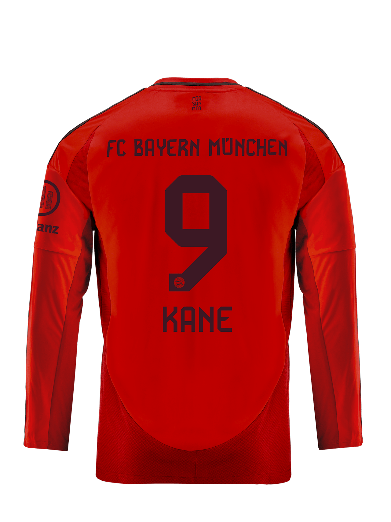 Long Sleeve Jersey Home 24-25 detail 2