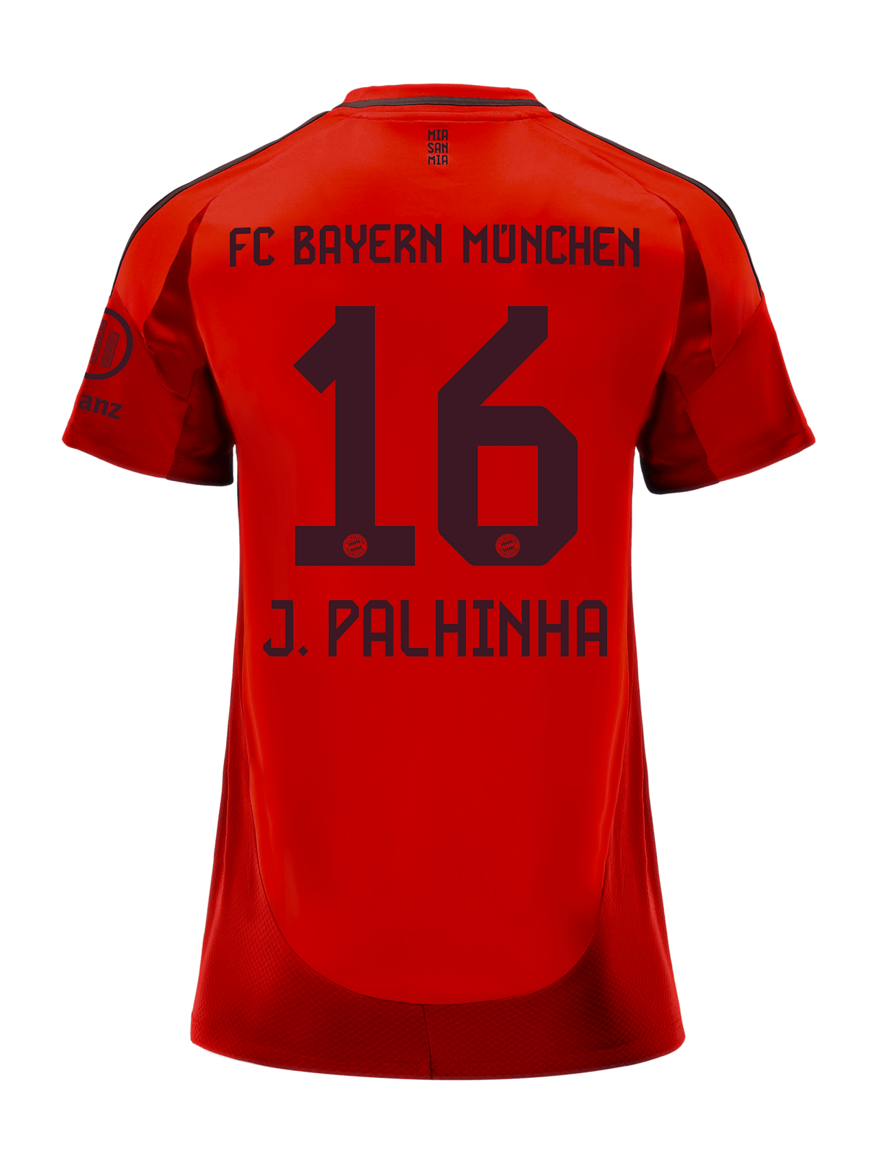 Jersey Home 24-25 detail 2