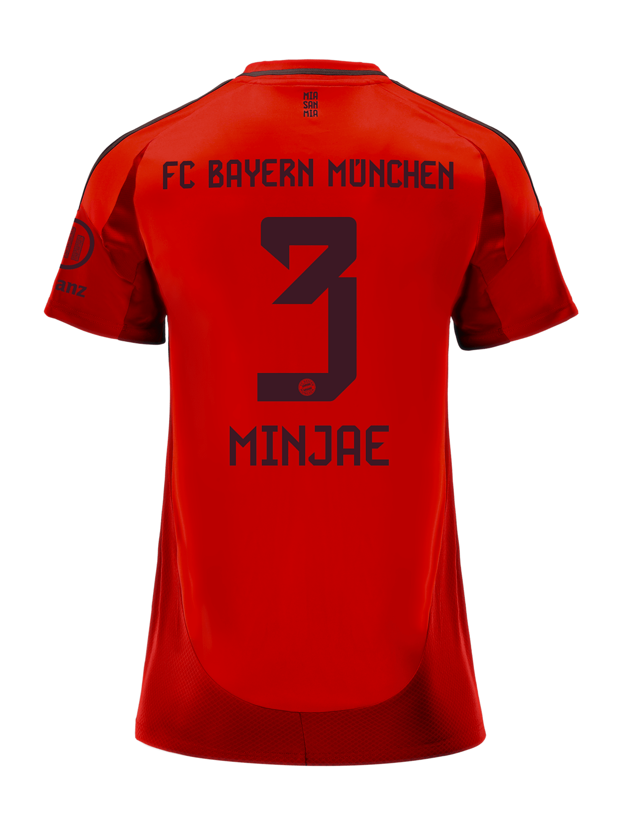 Trikot Home 24-25 detail 2