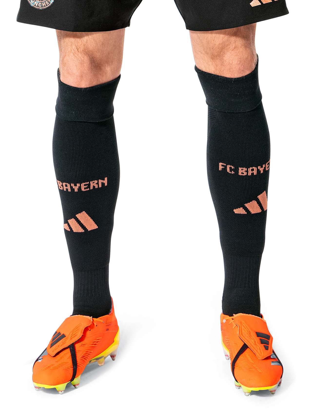 Socks Away 24-25 detail 3