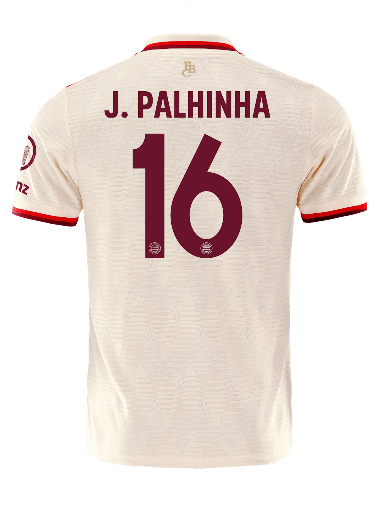 Authentic Jersey UCL 24-25 detail 2