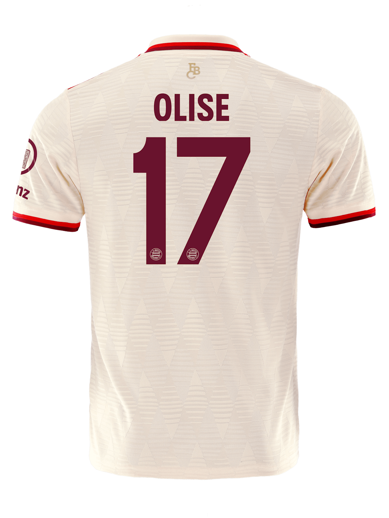 Authentic Trikot UCL 24-25 detail 2