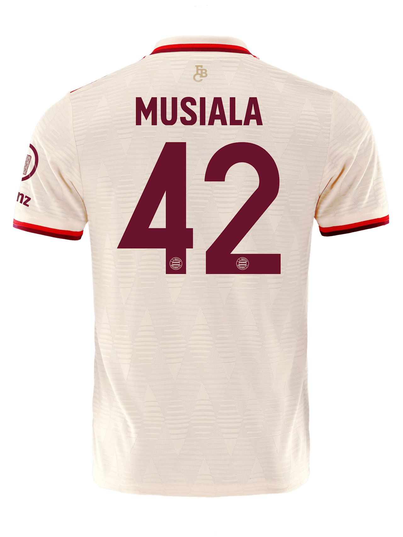 Authentic Jersey UCL 24-25 detail 2