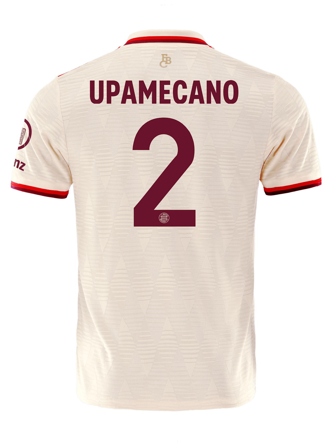 Authentic Trikot UCL 24-25 detail 2