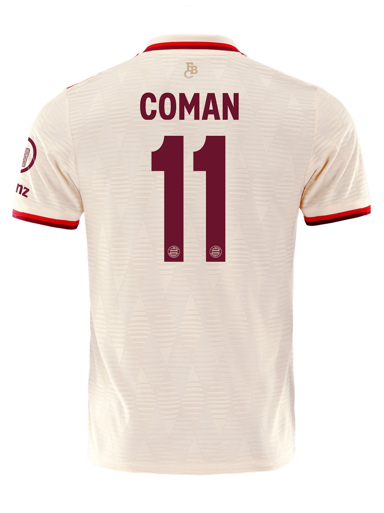 Authentic Jersey UCL 24-25 detail 2