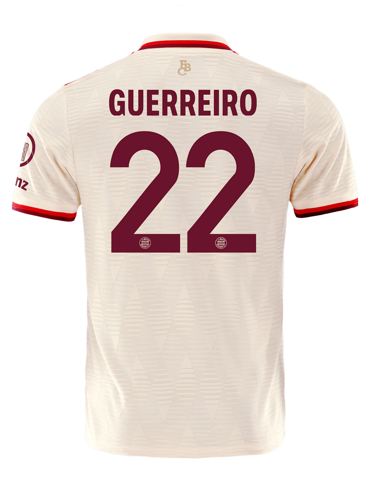Authentic Jersey UCL 24-25 detail 2