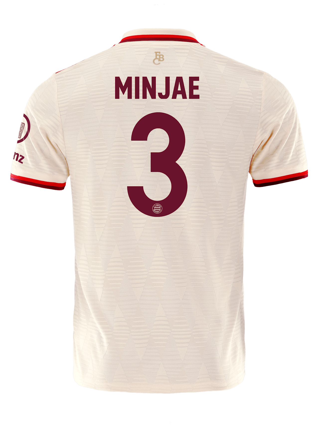 Authentic Trikot UCL 24-25 detail 2