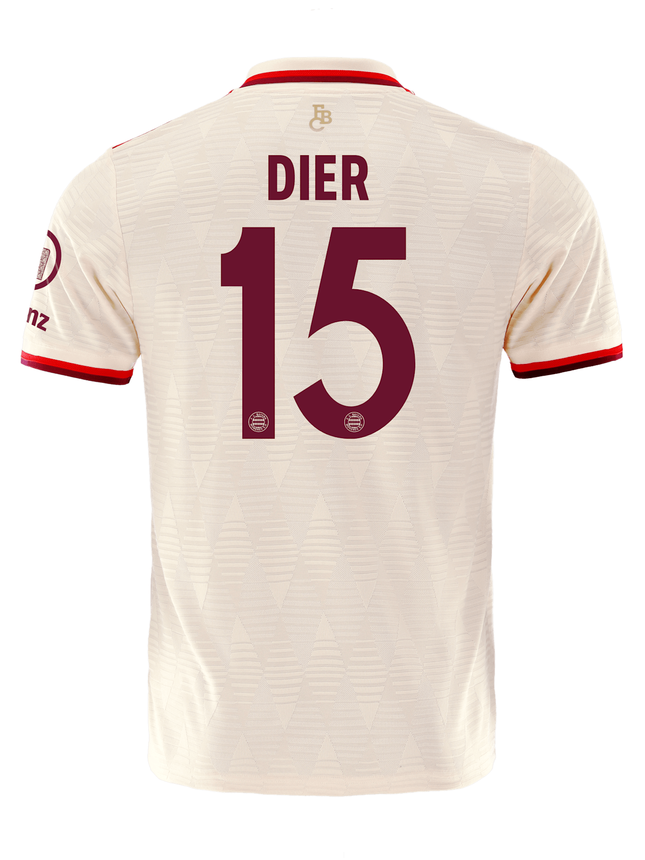 Authentic Trikot UCL 24-25 detail 2