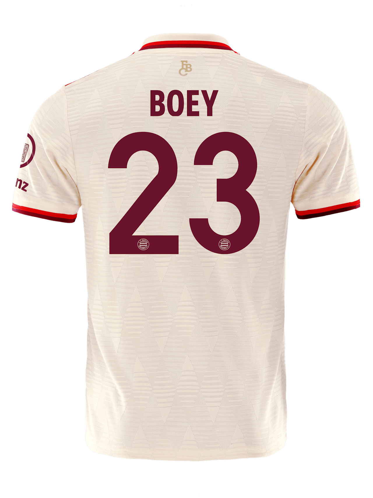 Authentic Jersey UCL 24-25 detail 2