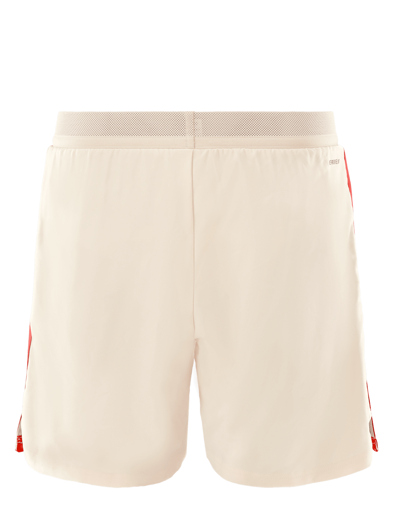 Authentic Short UCL 24-25 detail 6