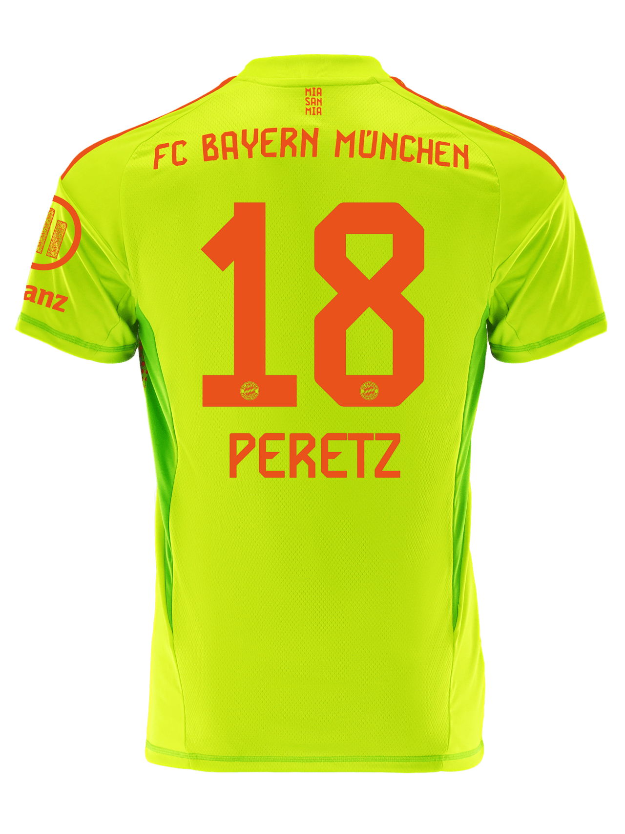 Goalkeeper jersey 24-25 detail 2