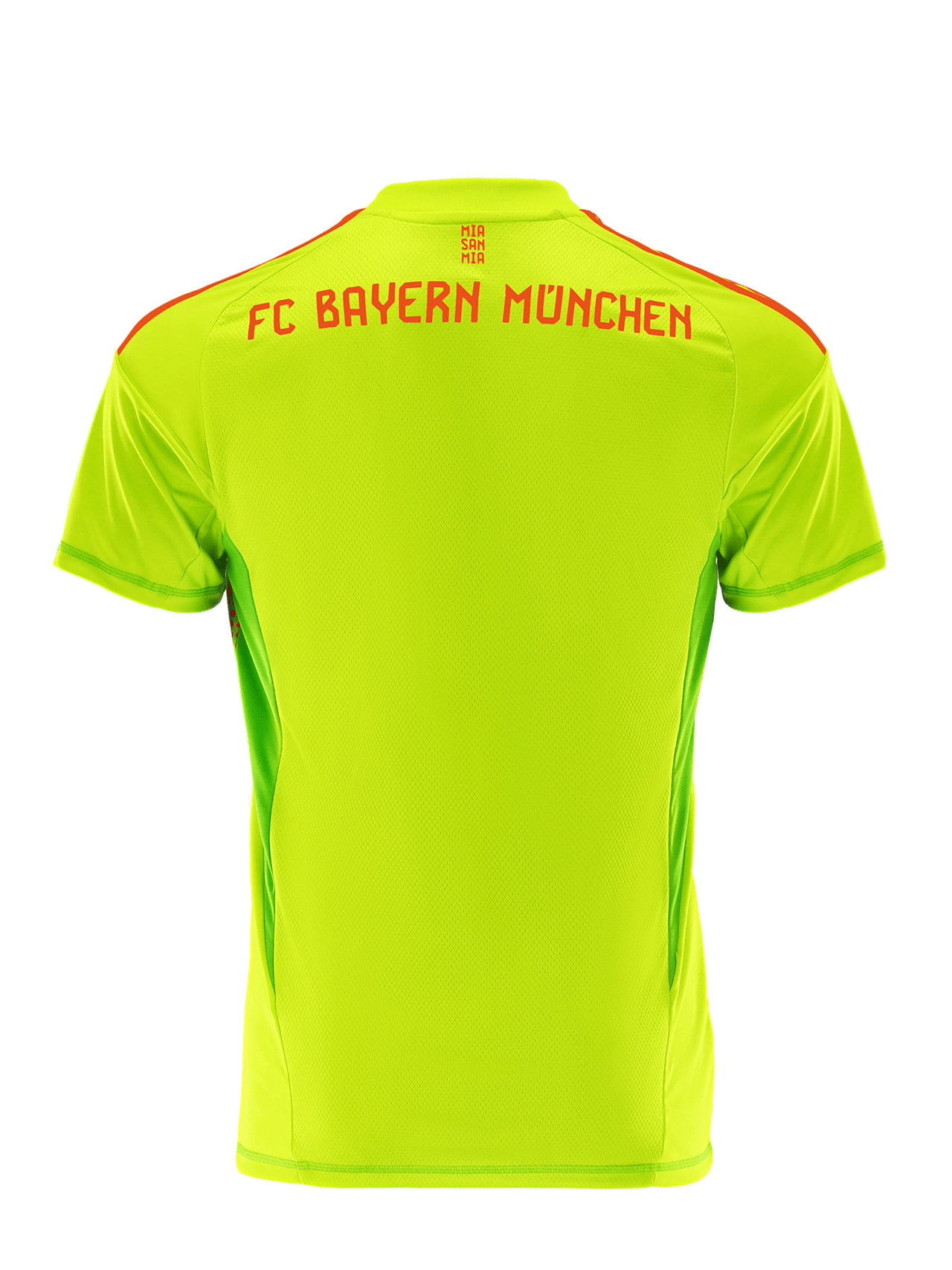 Maglia da portiere 24-25 detail 8