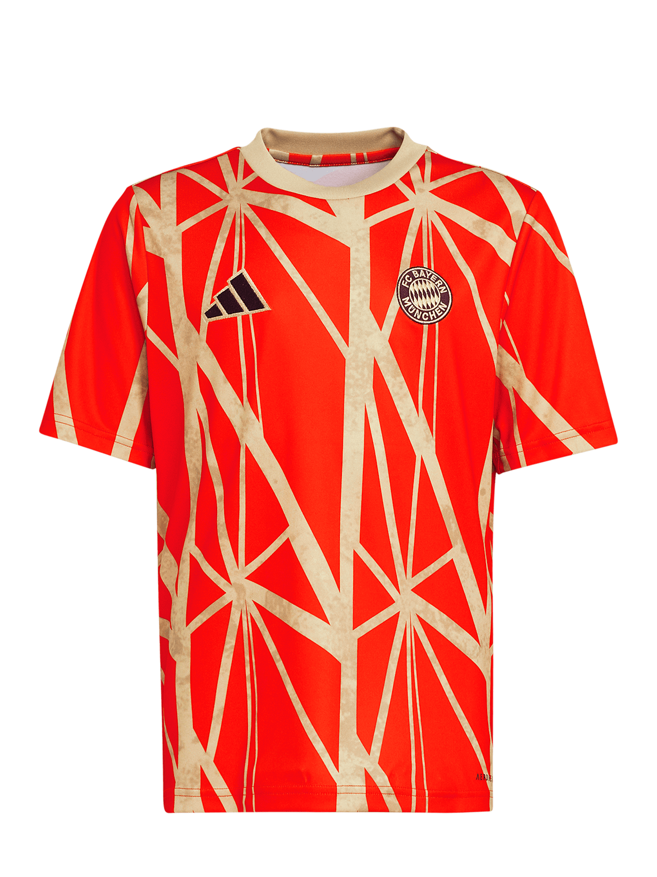 Pre-Match Shirt Home 24-25 detail 3