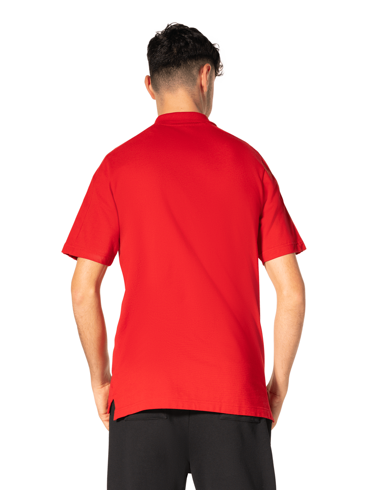 Polo DNA detail 2
