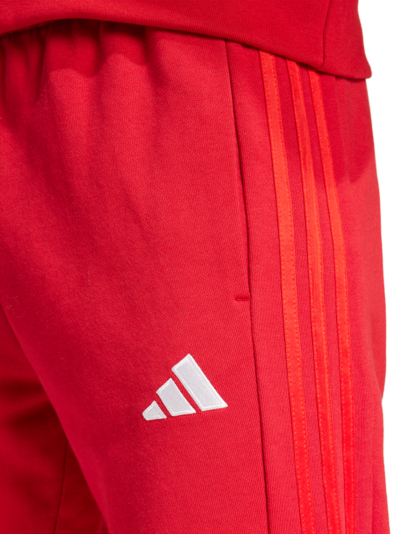 Sweatpant DNA detail 4