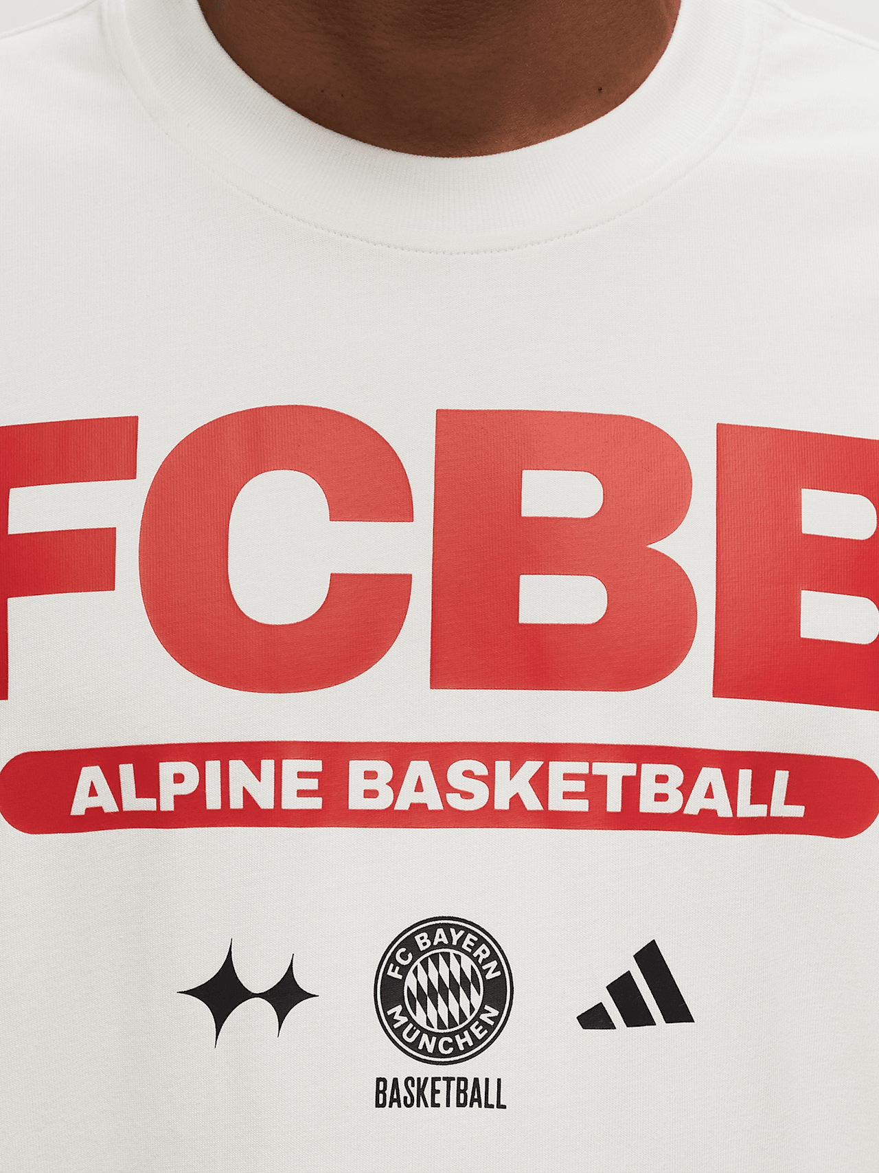 Basketball T-Shirt LFSTLR Alpine detail 3