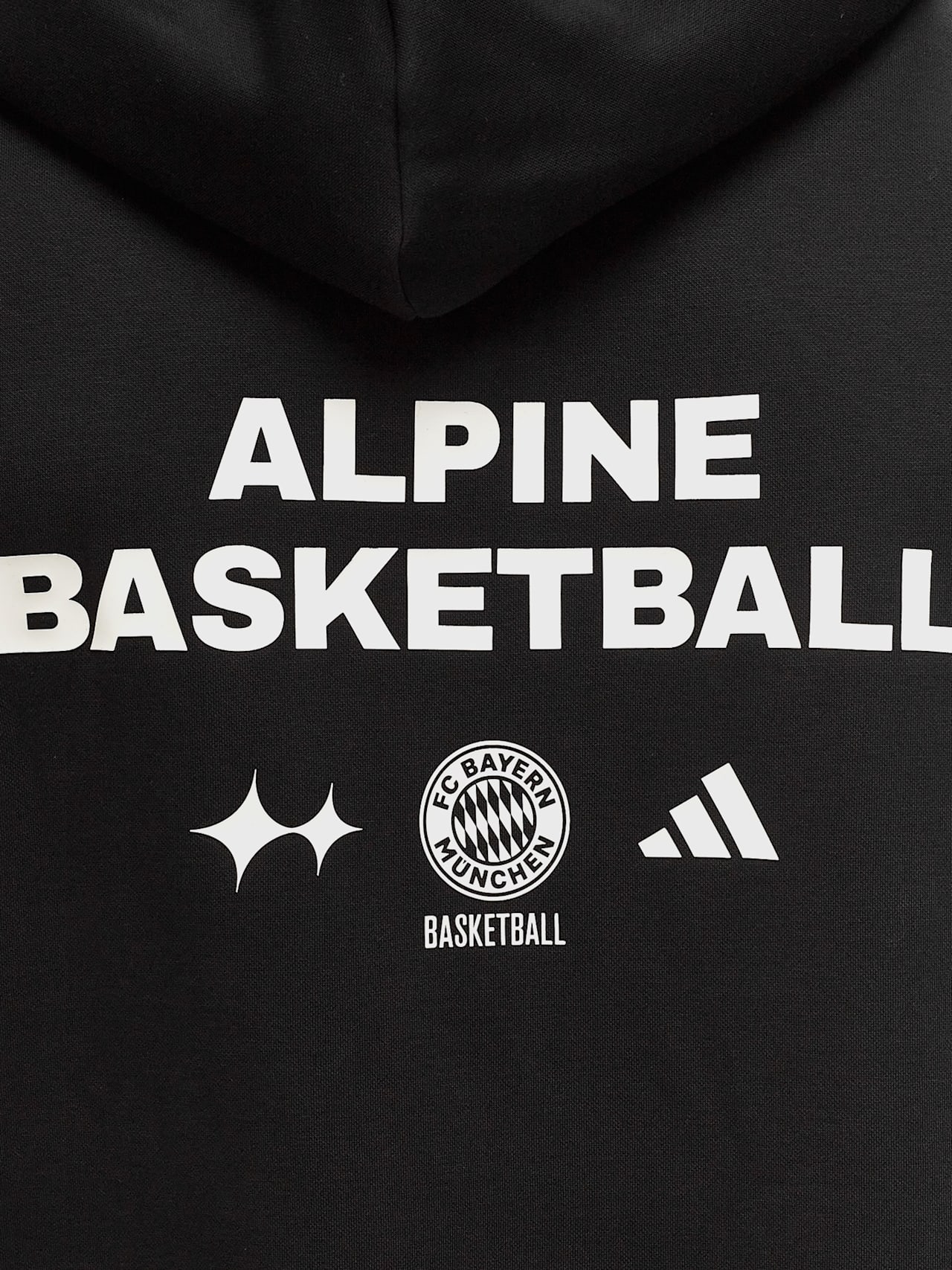Basketball Hoodie LFSTLR Alpine detail 4
