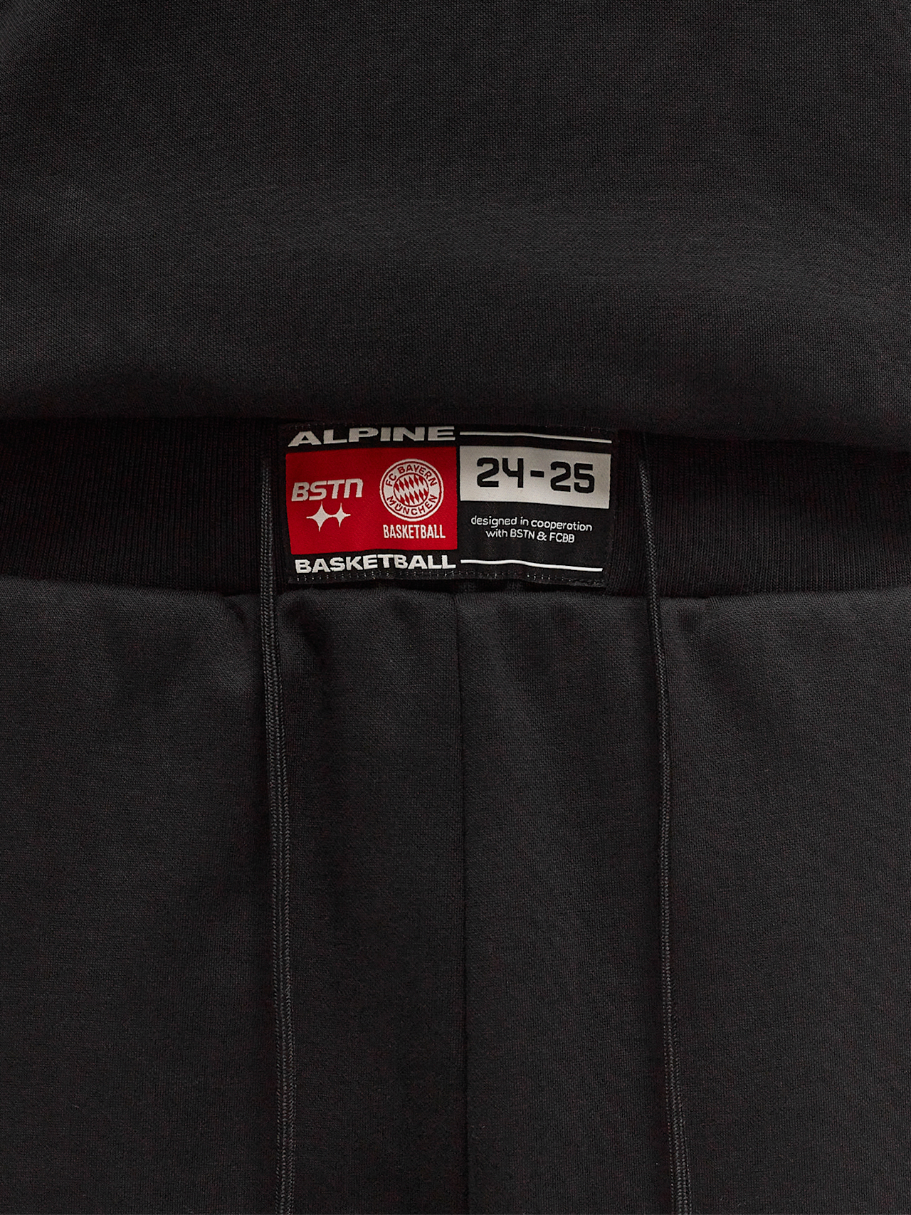 Basketball Sweatpant LFSTLR Alpine detail 5