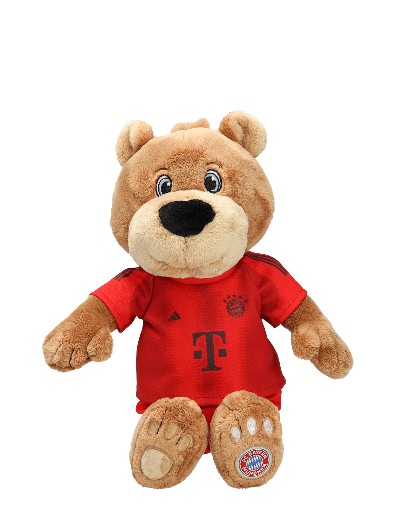 Berni 35 cm 2024-25 detail 3