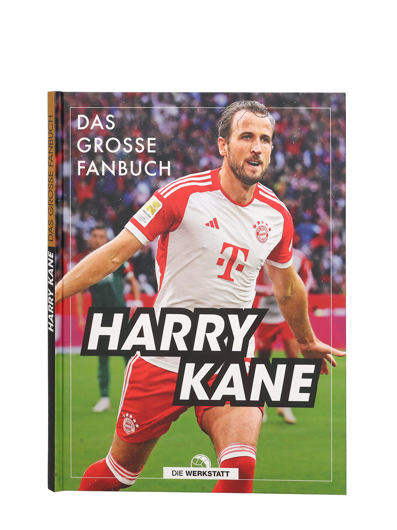Harry Kane - Das große Fanbuch detail 1