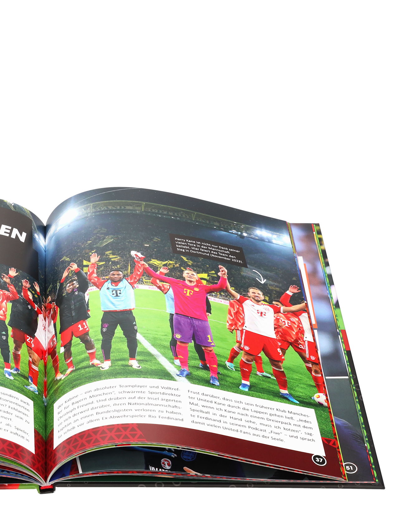 Harry Kane - Das große Fanbuch detail 3