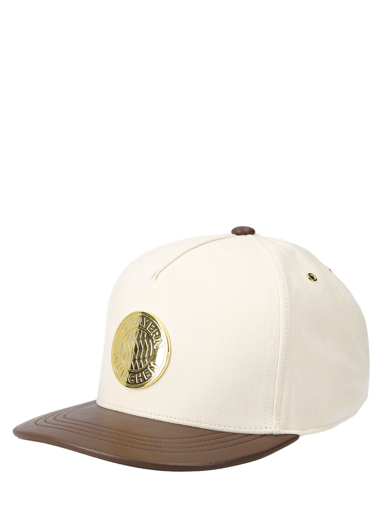 Snapback Plate detail 1