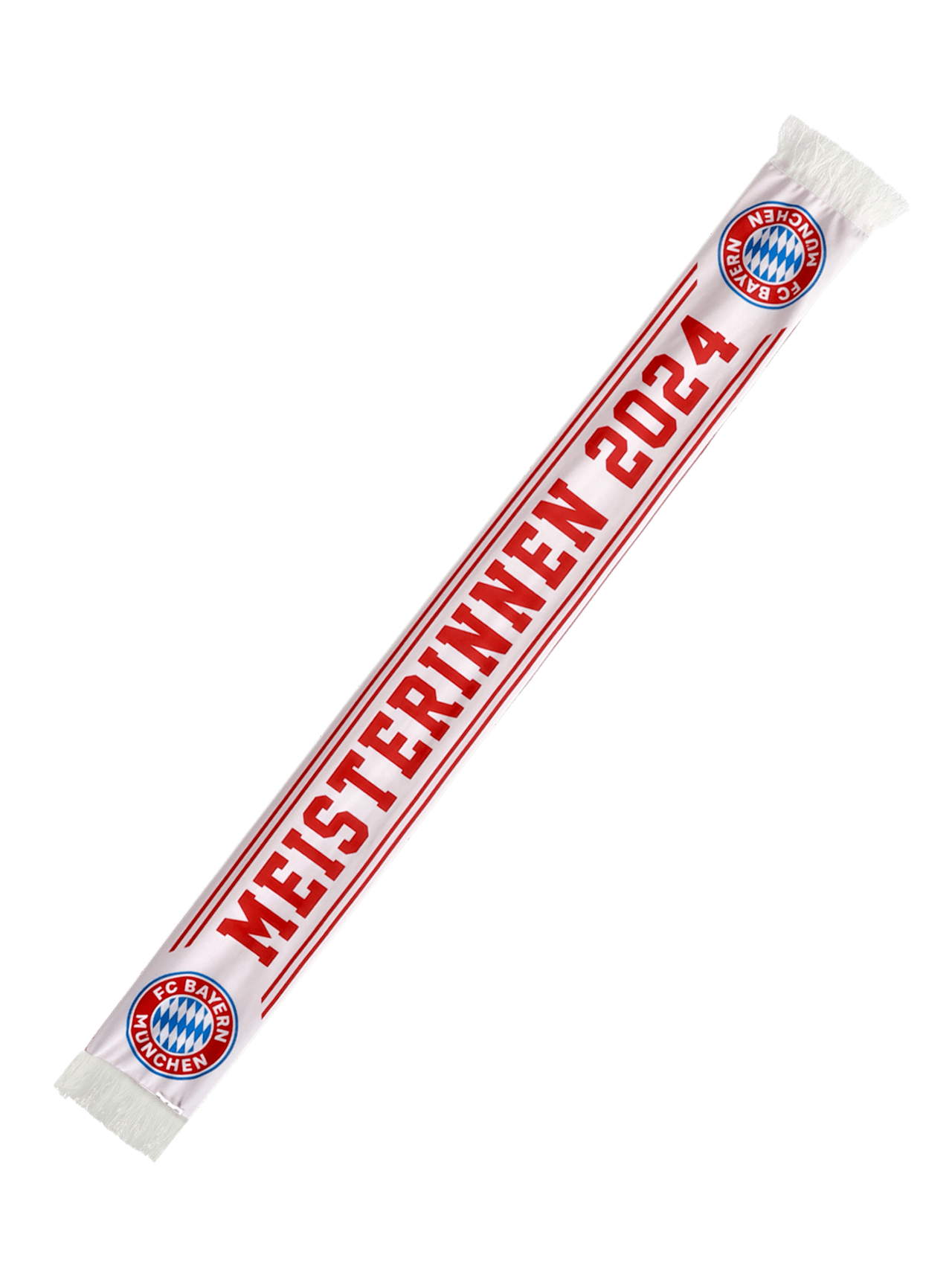 Scarf German champions 2024 detail 1