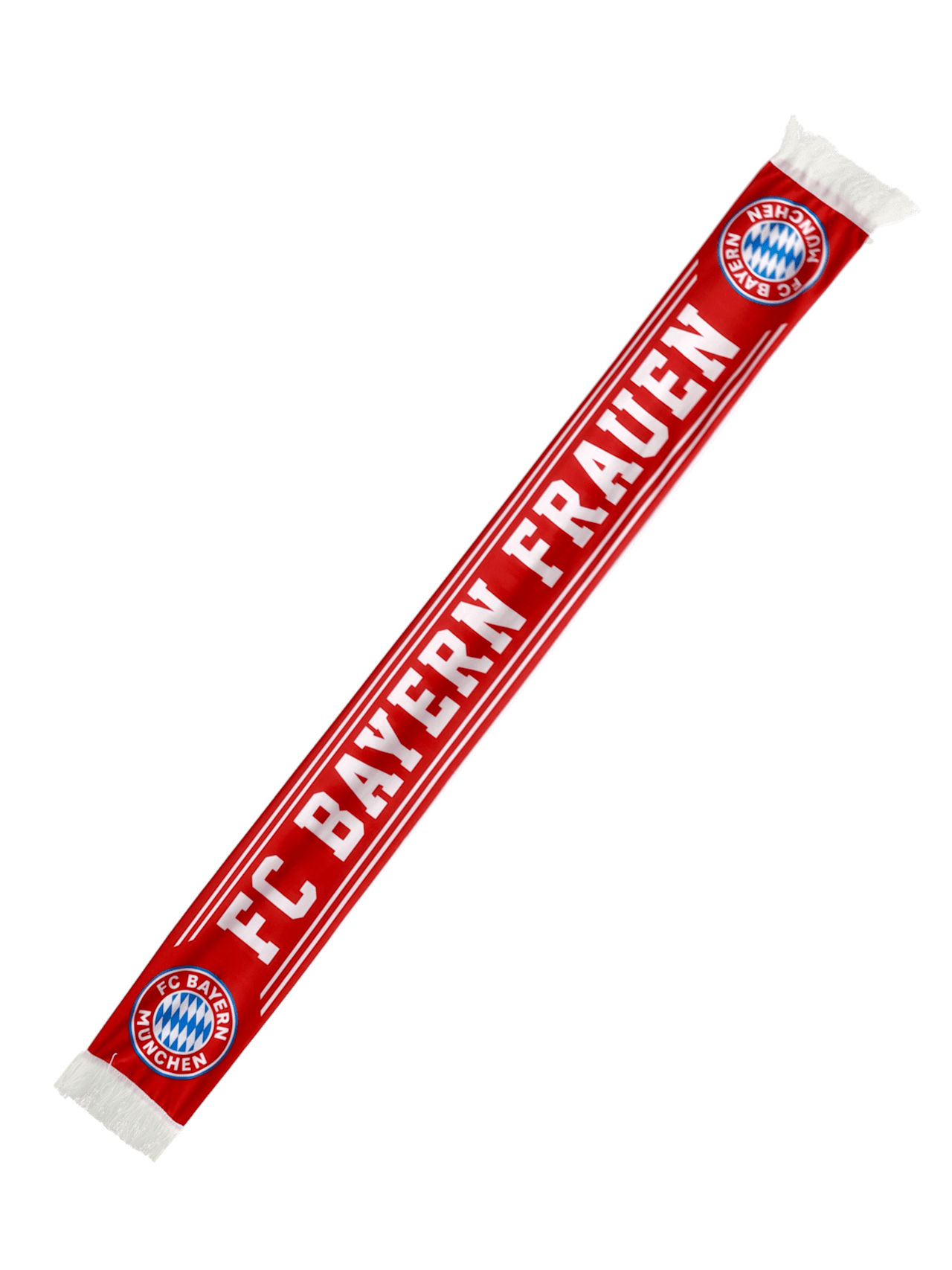 Scarf German champions 2024 detail 2