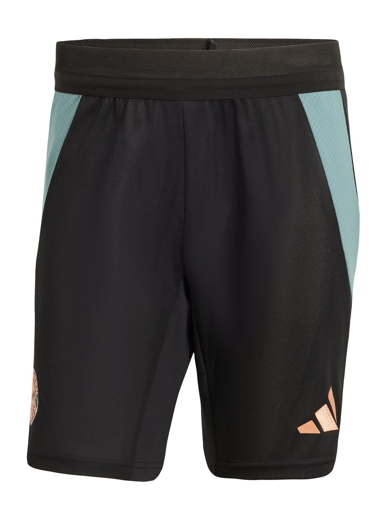 Pro training shorts Teamline detail 4
