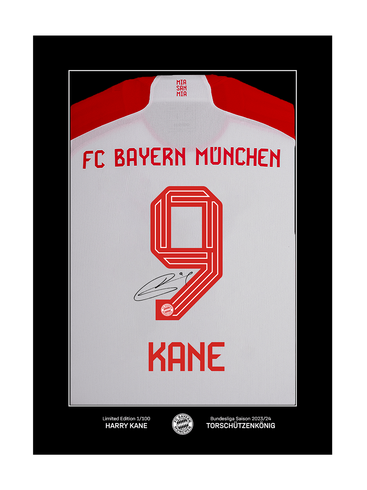 Trikotrahmen Kane Torschützenkönig + Unt detail 1