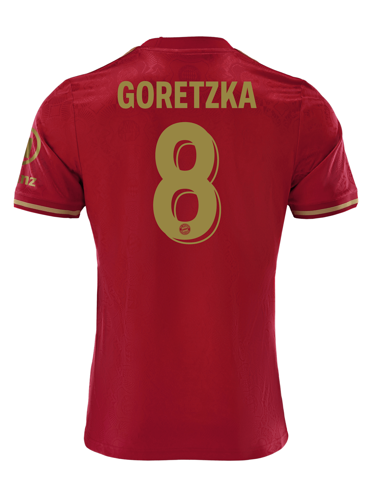 Trikot 125 Jahre detail 2