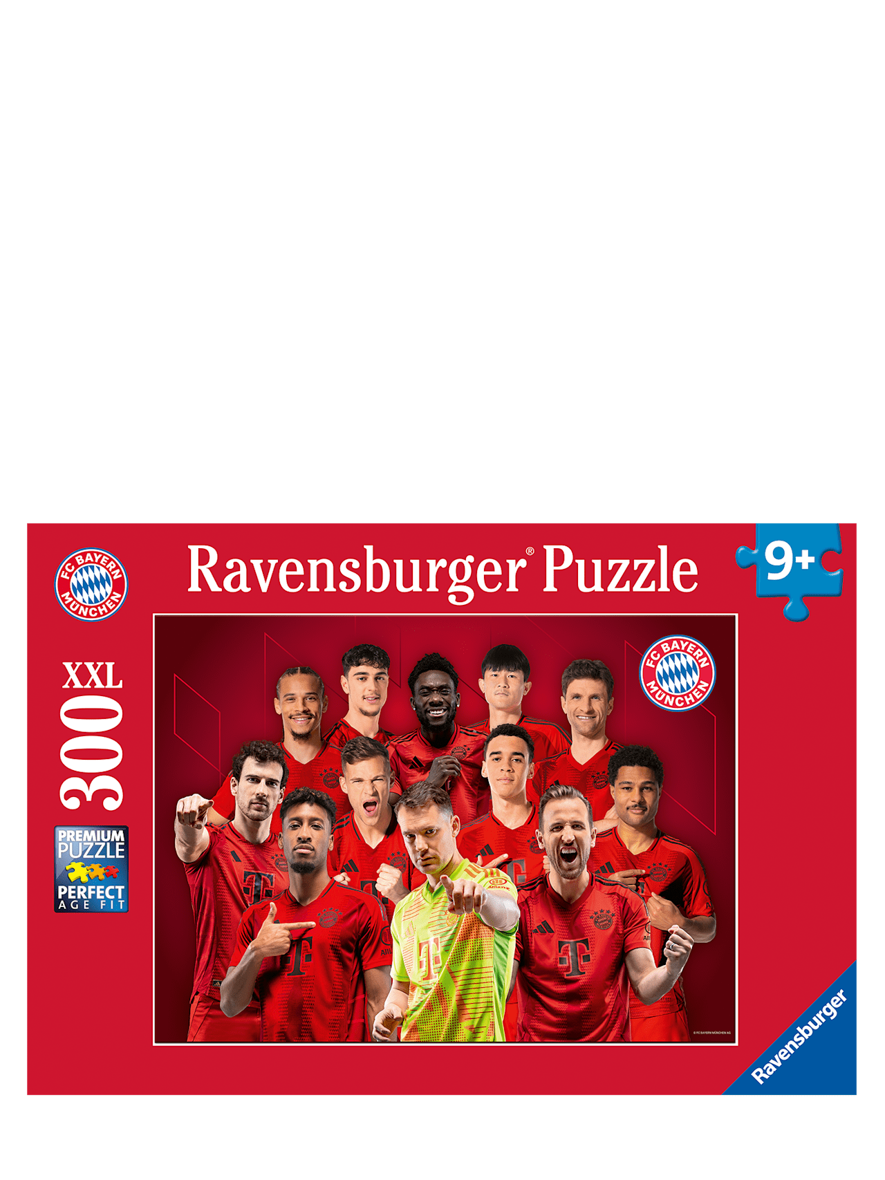 Puzzle Team 2024-25 300 Teile detail 2