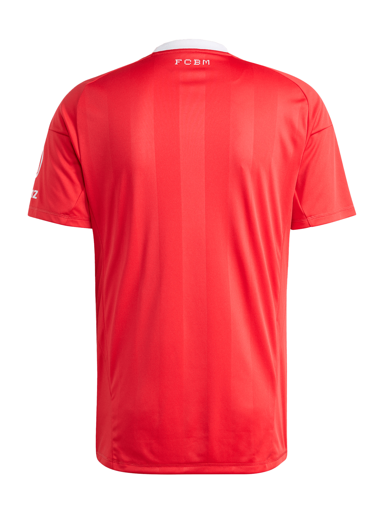 Trikot Torwart UCL 25-26 detail 7