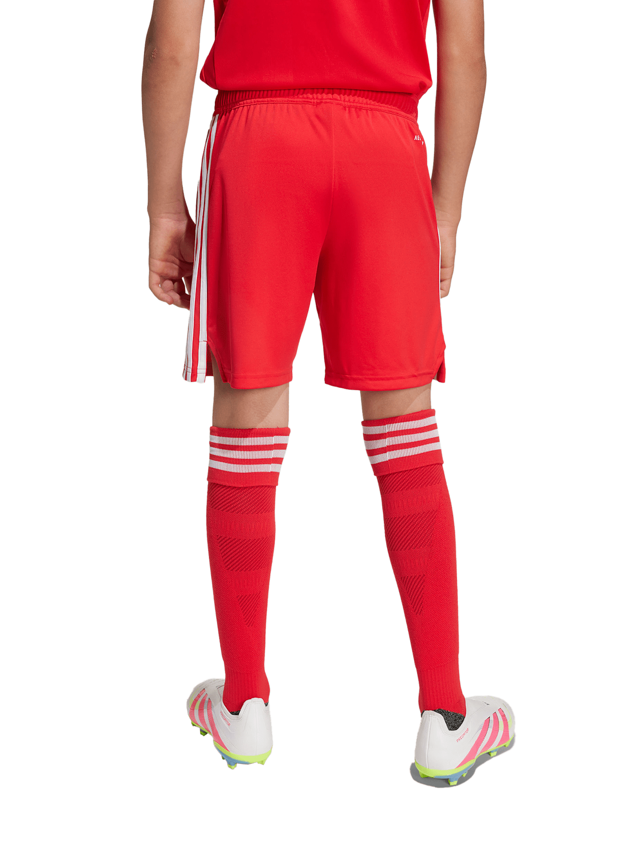 Short Torwart UCL  25-26 detail 2