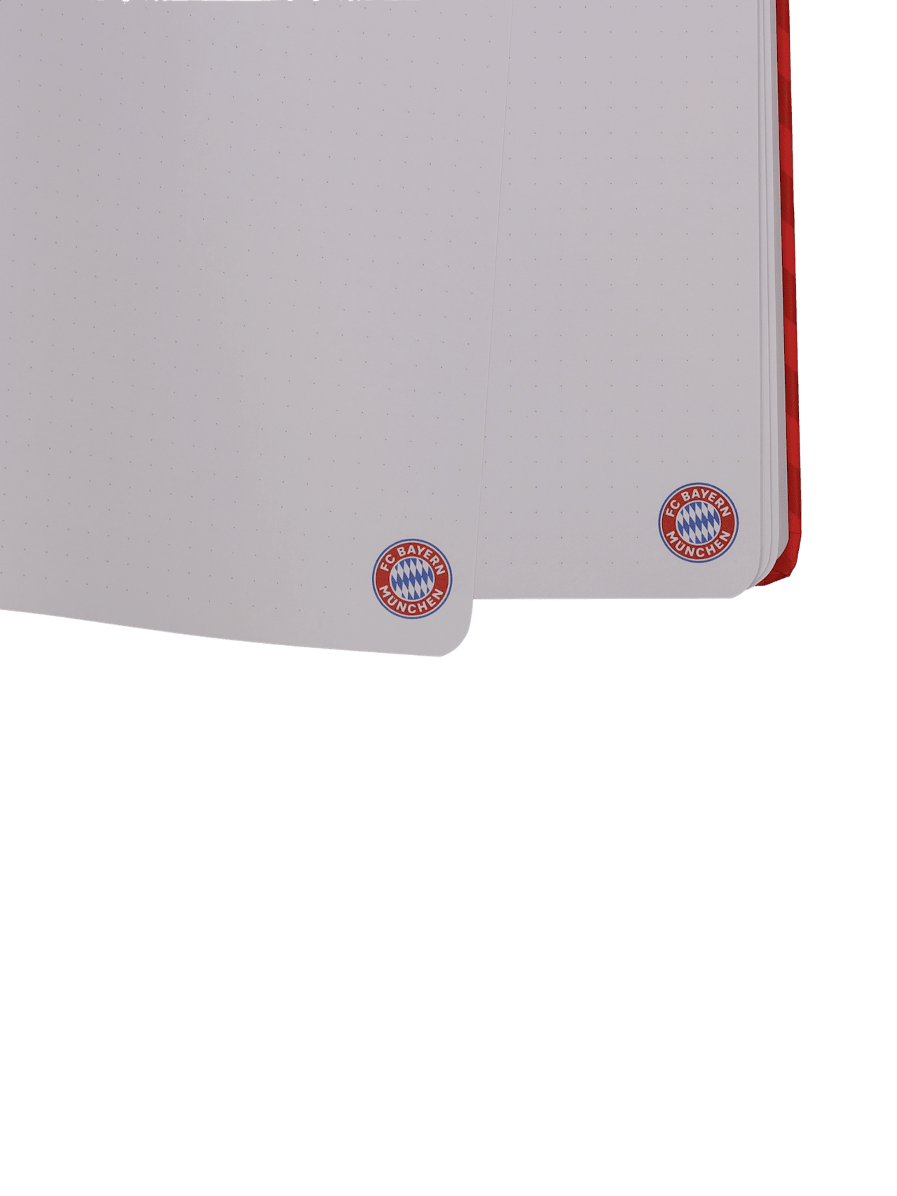 Ringbuch A4 Logo detail 4