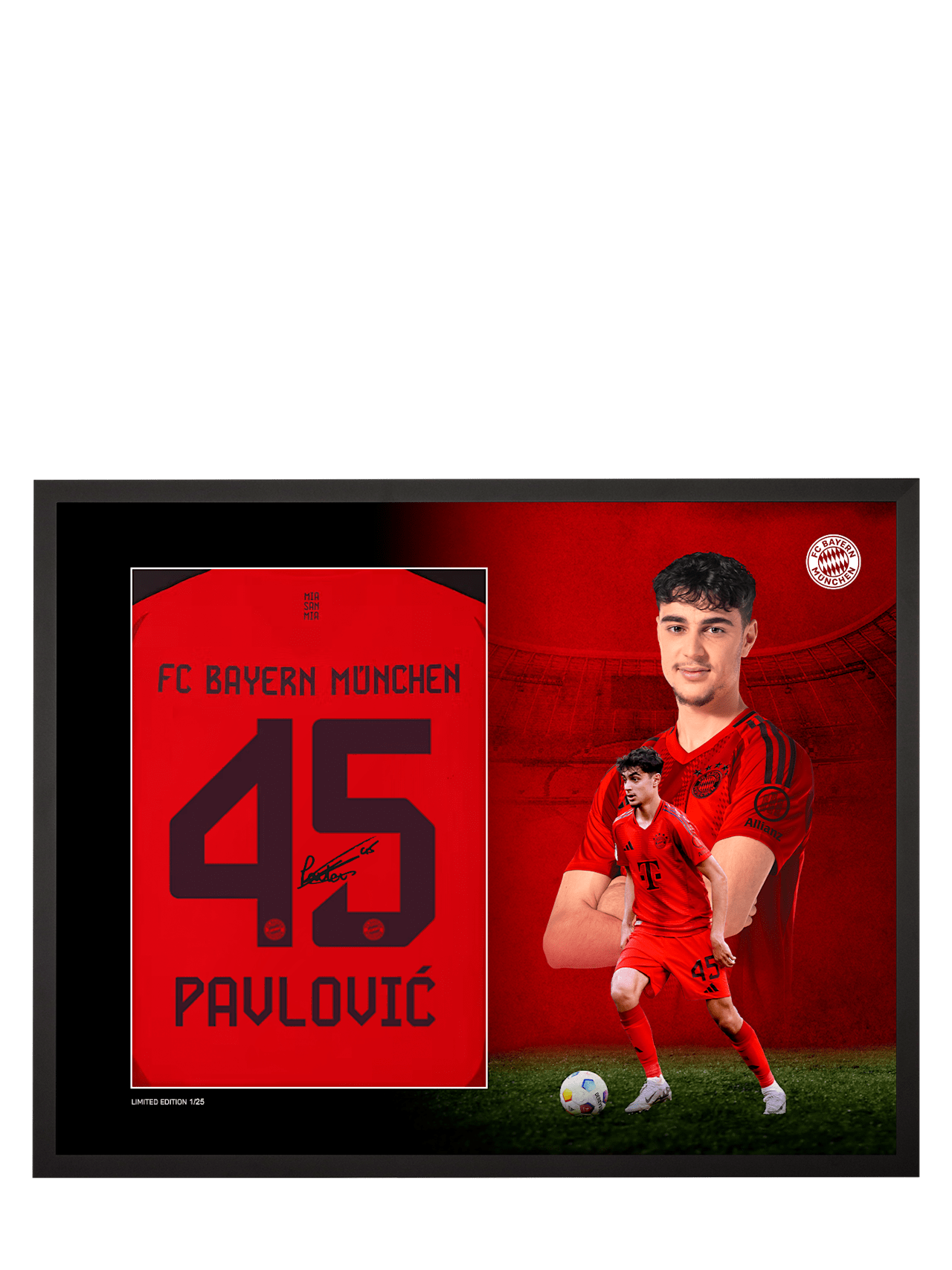 Trikotrahmen Pavlović signiert detail 1