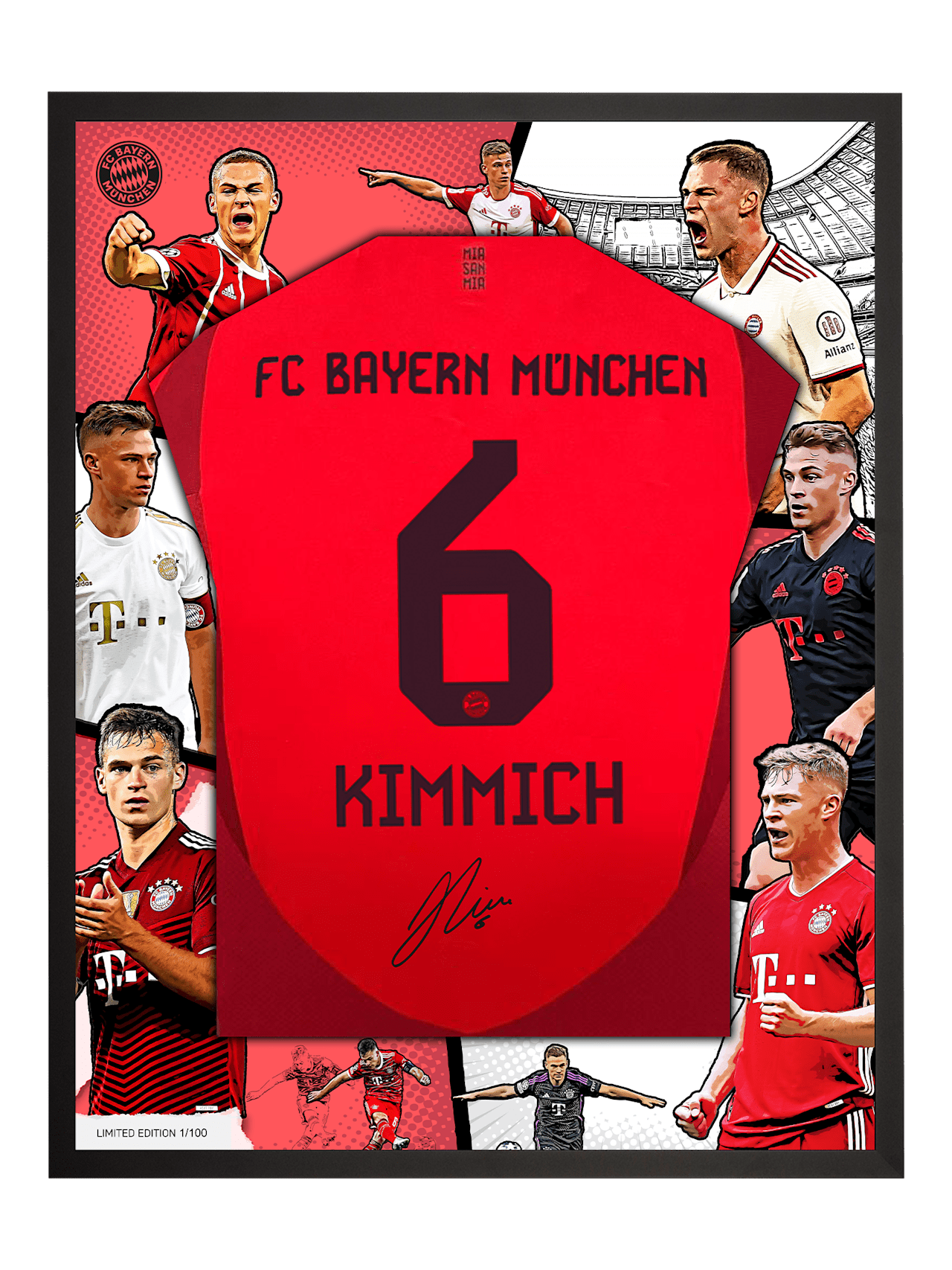 Trikotrahmen Kimmich Limited Edition detail 1